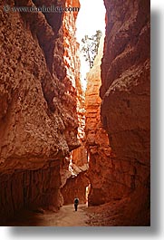 images/UnitedStates/Utah/BryceCanyon/Canyon/walking-in-canyon-02.jpg