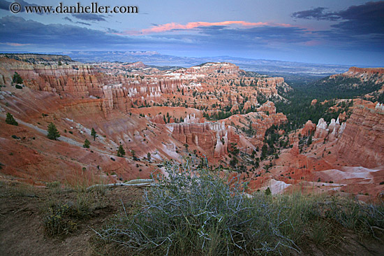 bryce-canyon-scenics-10.jpg