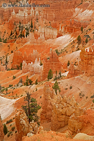 bryce-canyon-scenics-15.jpg