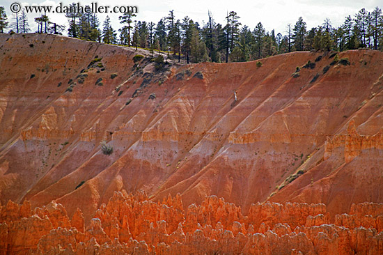 bryce-canyon-scenics-18.jpg