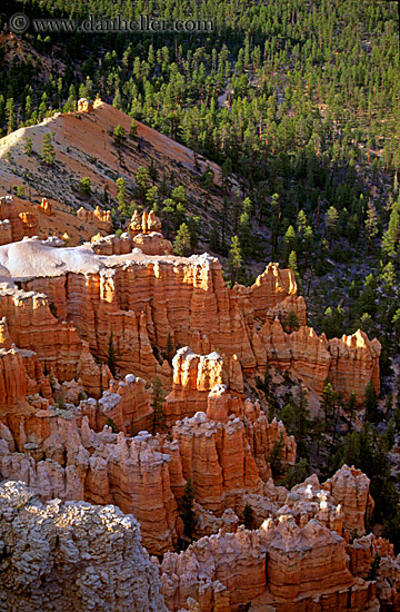 bryce-canyon-scenics-21.jpg