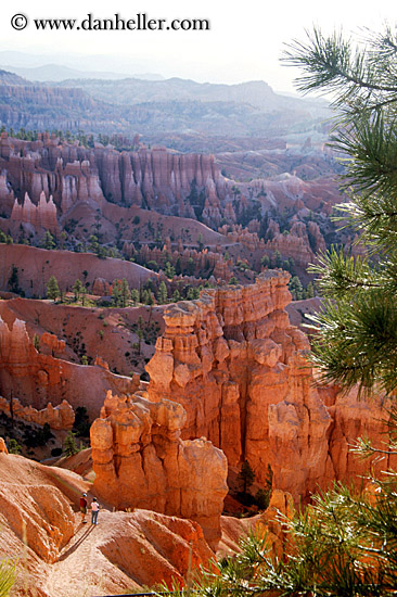 tree-n-scenic-03.jpg