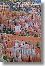 america, bryce canyon, colorful, north america, towers, united states, utah, vertical, western usa, photograph