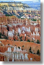 america, bryce canyon, colorful, north america, towers, united states, utah, vertical, western usa, photograph