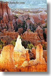 america, bryce canyon, glowing, north america, towers, united states, utah, vertical, western usa, photograph