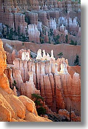 america, bryce canyon, glowing, north america, towers, united states, utah, vertical, western usa, photograph