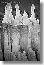 america, black and white, bryce canyon, glowing, north america, towers, united states, utah, vertical, western usa, photograph