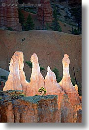 images/UnitedStates/Utah/BryceCanyon/Towers/towers-n-trees-02.jpg