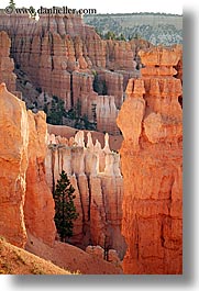 images/UnitedStates/Utah/BryceCanyon/Towers/towers-n-trees-06.jpg