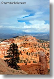 america, bryce canyon, north america, towers, trees, united states, utah, vertical, western usa, photograph