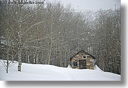 america, glenwood cemetery, graveyard, horizontal, huts, north america, park city, snow, trees, united states, utah, western usa, photograph