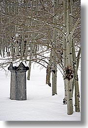 america, franklin, glenwood cemetery, graves, gravestones, hellen, north america, park city, snow, trees, united states, utah, vertical, western usa, photograph