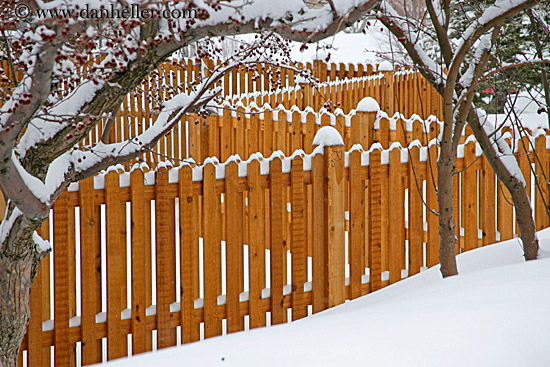 snowy-fence-1.jpg