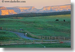 america, buffalo, cliffs, horizontal, landscapes, north america, people, united states, utah, walking, western usa, zion, photograph