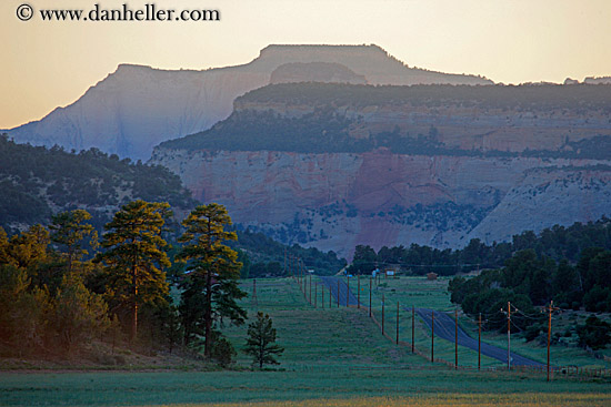 mesa-road-n-trees-at-sunset-1.jpg