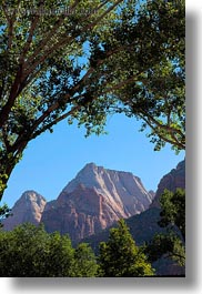 america, mountains, north america, trees, united states, utah, vertical, western usa, zion, photograph