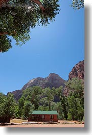 america, houses, north america, trees, united states, utah, vertical, western usa, zion, photograph