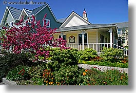 house, orcas island, pink, tree, yellow, washington, united states, photograph