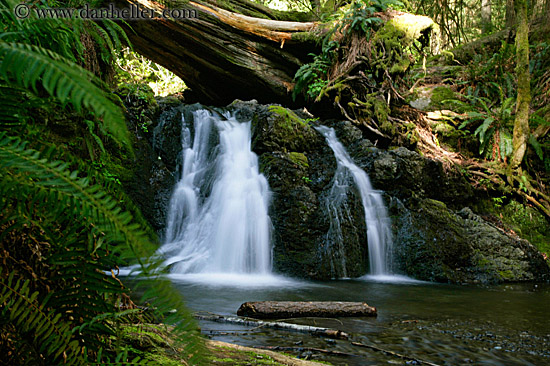 waterfalls-in-woods-03.jpg