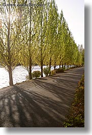 images/UnitedStates/Washington/Seattle/Fremont/trees-shadows-path.jpg