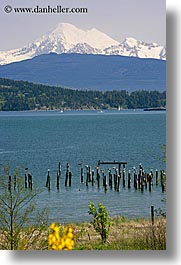america, mountains, mt baker, nature, north america, ocean, pacific northwest, seattle, snowcaps, united states, vertical, views, washington, water, western usa, photograph