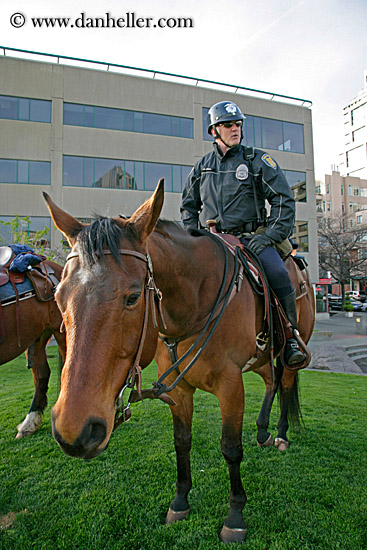 policeman-on-horse2.jpg
