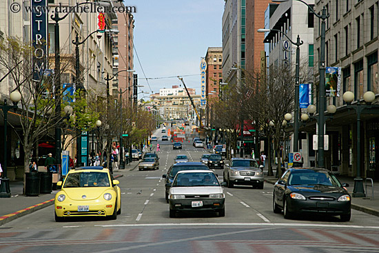 middle-of-street-02.jpg