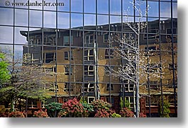 america, buildings, horizontal, nature, north america, pacific northwest, plants, reflections, seattle, structures, trees, united states, washington, western usa, photograph