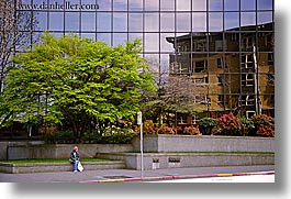 america, buildings, horizontal, nature, north america, pacific northwest, plants, reflections, seattle, trees, united states, washington, western usa, photograph