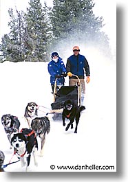 images/UnitedStates/Wyoming/JacksonHole/Mush/dogs-10.jpg