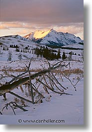 images/UnitedStates/Wyoming/Yellowstone/Landscape/electric-mtn.jpg