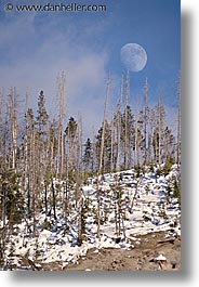 america, landscapes, moon, north america, snow, united states, vertical, winter, wyoming, yellowstone, photograph