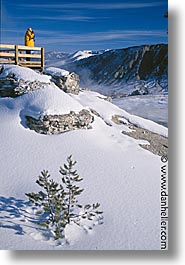 images/UnitedStates/Wyoming/Yellowstone/Landscape/overlook-b.jpg