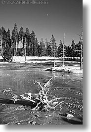 america, black and white, landscapes, north america, snow, united states, vertical, water, winter, wyoming, yellowstone, photograph