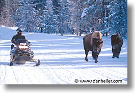 images/UnitedStates/Wyoming/Yellowstone/People/snow-mobile-05.jpg