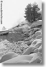 america, black and white, north america, snow, united states, vertical, winter, wyoming, yellowstone, photograph