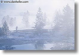images/UnitedStates/Wyoming/Yellowstone/Snowy/snowy-15.jpg