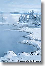 images/UnitedStates/Wyoming/Yellowstone/Snowy/snowy-17.jpg