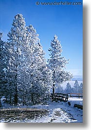 images/UnitedStates/Wyoming/Yellowstone/Snowy/snowy-27.jpg