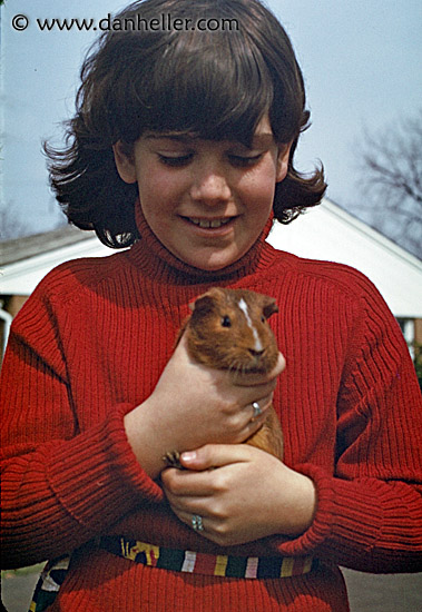 laura-ginea-pig.jpg