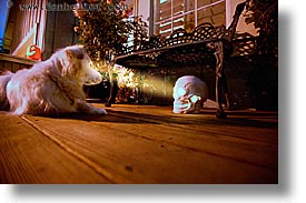 dogs, halloween, homes, horizontal, personal, skulls, slow exposure, photograph