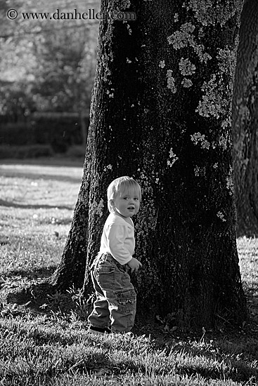 jack-n-tree-bw.jpg