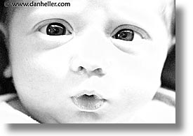 babies, baby face, black and white, boys, crosses, eyed, horizontal, infant, jacks, photograph