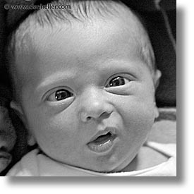 babies, baby face, black and white, boys, elvis, infant, jacks, square format, photograph