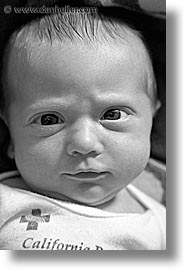 babies, baby face, black and white, boys, expression, infant, jacks, vertical, photograph