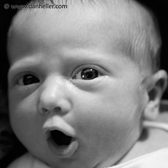 jack-expression-5-bw.jpg