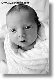 babies, baby face, black and white, boys, infant, jacks, vertical, wrap, photograph