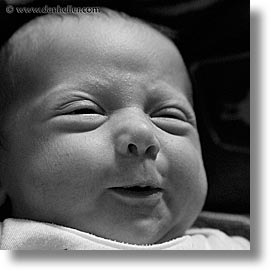 babies, baby face, black and white, boys, infant, jacks, pignose, square format, photograph