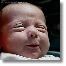 babies, baby face, boys, infant, jacks, pignose, square format, photograph