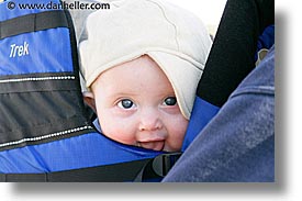babies, backpack, boys, dec, horizontal, infant, jacks, photograph